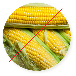 トウモロコシ不使用