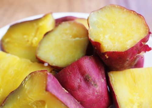 愛犬の元気な関節の動きをサポート