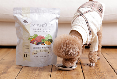 食べているわんちゃん