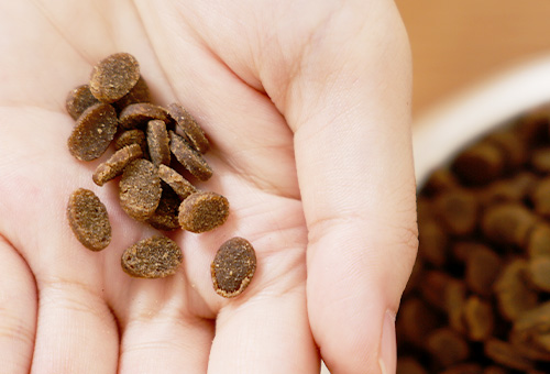 は安心・安全の証