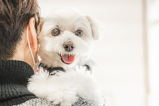 定期便限定!特別価格