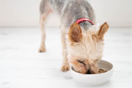 定期便限定!特別価格