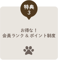 特典3